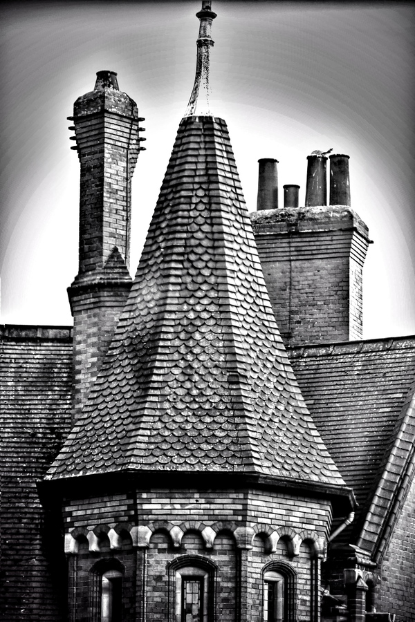 CH Roof Top & Chimneys 